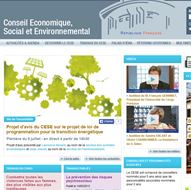 Le Conseil Economique Social et Environnemental (CESE)