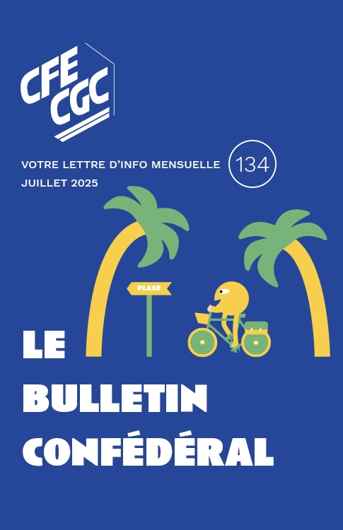 n°134 du 15 juillet 2025