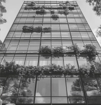 La biodiversité, un enjeu pour l’entreprise