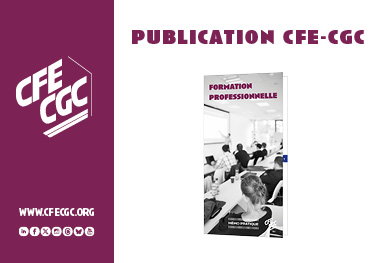 Formation professionnelle